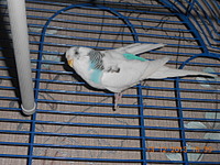 1920 X 1440 721.6 Kb    