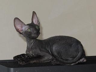 1920 X 1438 233.0 Kb   