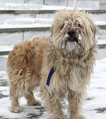 768 X 859 320.4 Kb ������ ��� ���� �������