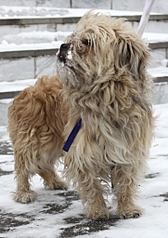 721 X 1024 349.7 Kb 768 X 859 320.4 Kb ������ ��� ���� �������