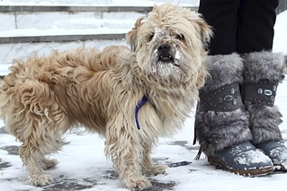 1024 X 683 346.7 Kb 721 X 1024 349.7 Kb 768 X 859 320.4 Kb ������ ��� ���� �������