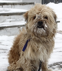 768 X 875 307.3 Kb 1024 X 683 346.7 Kb 721 X 1024 349.7 Kb 768 X 859 320.4 Kb ������ ��� ���� �������