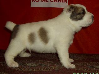 608 X 454 38.8 Kb 1920 X 1440 610.6 Kb 421 X 234 21.3 Kb   