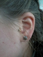 1200 X 1600 335.7 Kb   