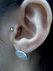 1200 X 1600 330.0 Kb 1200 X 1600 335.7 Kb   