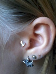 1200 X 1600 368.0 Kb 1200 X 1600 330.0 Kb 1200 X 1600 335.7 Kb   