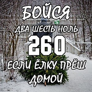 604 X 604 153.3 Kb Ѧ Ѧ Ѧ КОНКУРС на самую красивую ЕЛКУ ! Ѧ Ѧ Ѧ