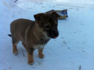 1920 X 1434 580.5 Kb ,       