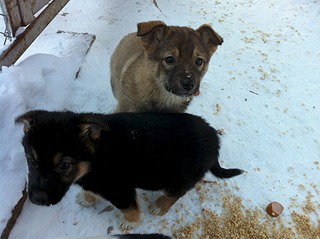 1920 X 1434 683.4 Kb 1920 X 1434 580.5 Kb ,       