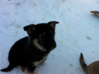 1920 X 1434 632.9 Kb 1920 X 1434 683.4 Kb 1920 X 1434 580.5 Kb ,       