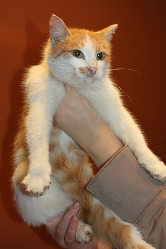 333 x 500 333 x 500 500 x 333       .