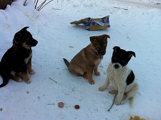 1920 X 1434 695.6 Kb ,       