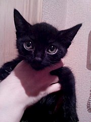 768 X 1024  89.5 Kb 768 X 1024  91.5 Kb    