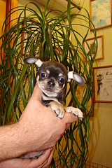 1920 X 2880 463.0 Kb ������������� �� ��������� moriss