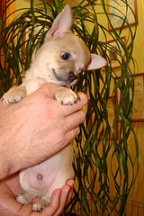 1920 X 2880 413.3 Kb ������������� �� ��������� moriss