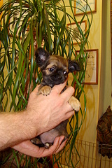 1920 X 2880 476.6 Kb ������������� �� ��������� moriss