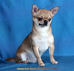 500 X 484 74.4 Kb ������������� �� ��������� moriss