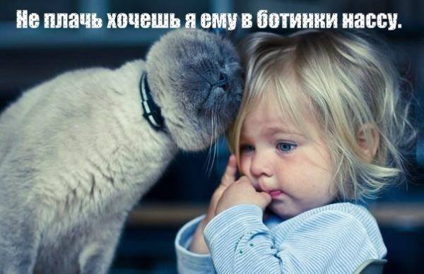 600 x 388 Улыбнемся?