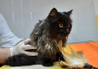 604 X 427 44.1 Kb       ,       