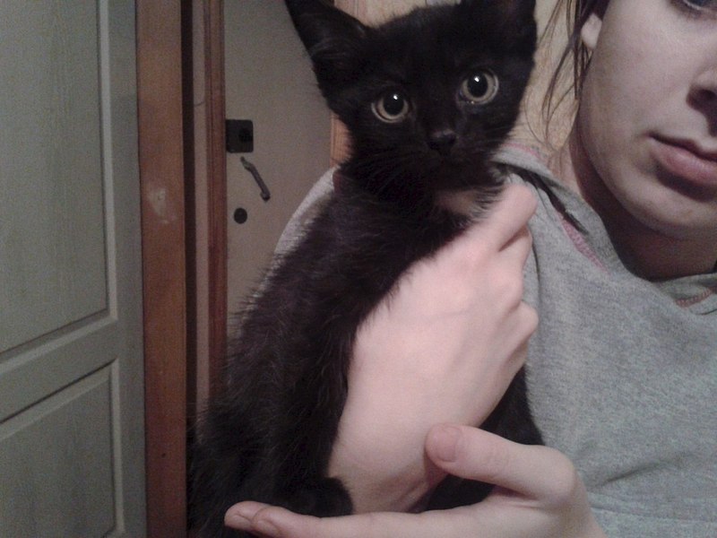 1280 X 960 152.0 Kb 768 X 1024 95.6 Kb 1280 X 960 144.2 Kb 1280 X 960 150.0 Kb    