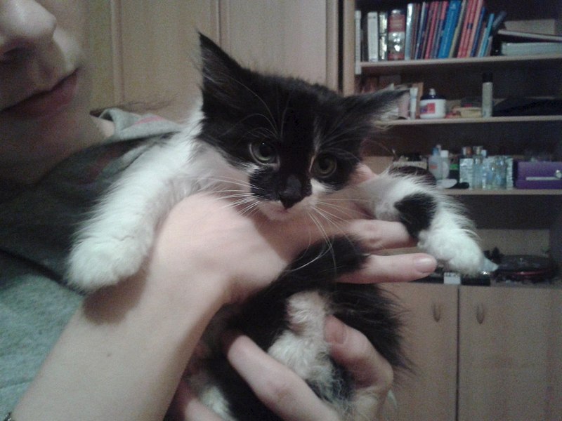 1280 X 960 161.7 Kb 1280 X 960 152.0 Kb 768 X 1024 95.6 Kb 1280 X 960 144.2 Kb 1280 X 960 150.0 Kb    