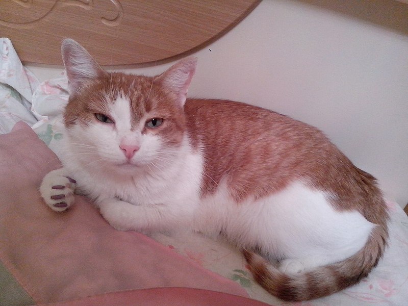 1280 X 960 193.4 Kb 1280 X 960 163.0 Kb     !