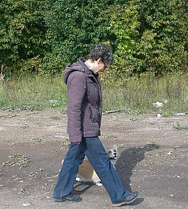 1359 X 1508 559.9 Kb Веточка для Коржиков и абиссинская кошка.