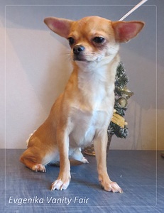 1585 X 2057 729.3 Kb  . !