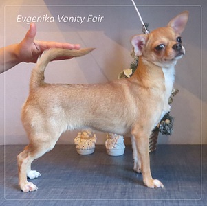 1849 X 1841 734.6 Kb 1585 X 2057 729.3 Kb  . !