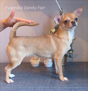 1713 X 1777 700.0 Kb 1849 X 1841 734.6 Kb 1585 X 2057 729.3 Kb  . !