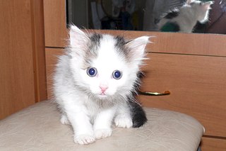 1920 X 1280 325.0 Kb    