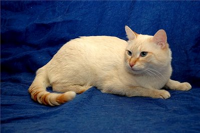 640 X 425  47.6 Kb   -  