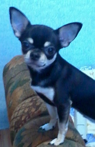 532 X 821 126.1 Kb ������������� �� ��������� Moriss