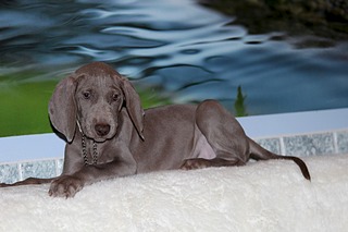 1920 X 1280 390.6 Kb   ( )