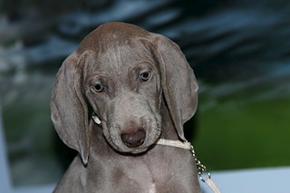 1920 X 1280 435.5 Kb 1920 X 1280 390.6 Kb   ( )