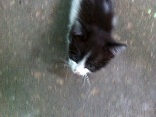 1920 X 1434 965.2 Kb ���� ������� ��� ��������� ����������