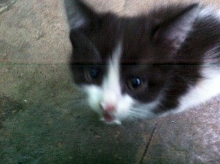 1920 X 1434 896.6 Kb 1920 X 1434 965.2 Kb ���� ������� ��� ��������� ����������