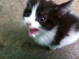 1920 X 1434 878.6 Kb 1920 X 1434 896.6 Kb 1920 X 1434 965.2 Kb ���� ������� ��� ��������� ����������