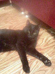 453 X 604 49.1 Kb     !