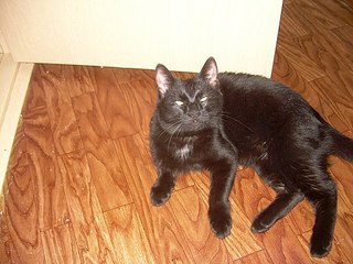 604 X 453 63.2 Kb 320 x 240 453 X 604 49.1 Kb     !