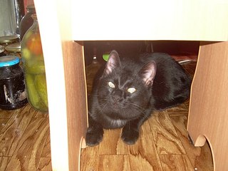 604 X 453 50.4 Kb 604 X 453 60.7 Kb 604 X 453 63.2 Kb 320 x 240 453 X 604 49.1 Kb     !