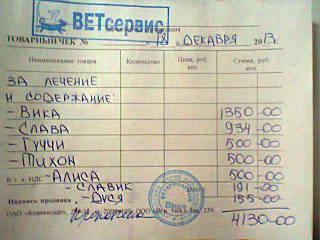 640 X 480 52.4 Kb Кошки в стационаре Ветсервиса. Нужна материальная помощь!