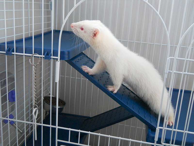 1920 X 1440 559.9 Kb .   .