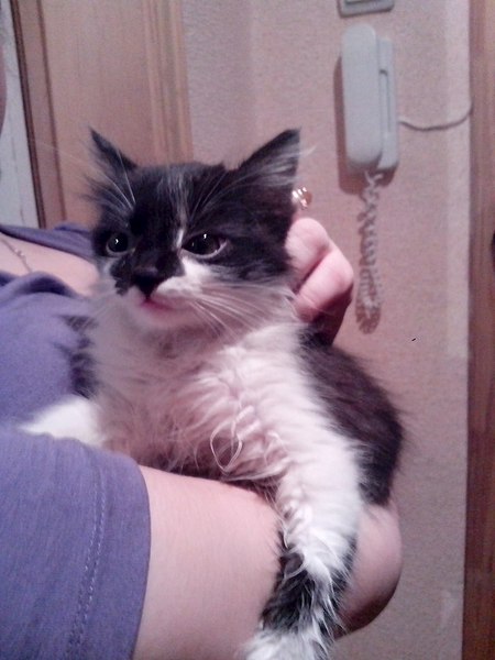 768 X 1024 100.7 Kb 768 X 1024 106.1 Kb 1280 X 960 161.7 Kb 640 x 480    