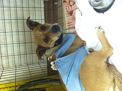 1920 X 1434 768.2 Kb      -!