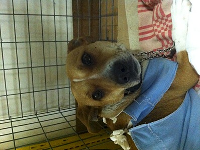 1920 X 1434 855.0 Kb 1920 X 1434 768.2 Kb      -!