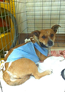 1051 X 1500 358.5 Kb 1051 X 1500 458.6 Kb 1051 X 1500 392.4 Kb      -!