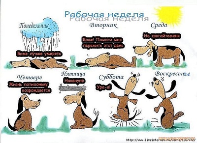 650 X 473 128.6 Kb Почему, блин - 2?