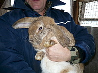 1920 X 1440 852.3 Kb 1920 X 1440 887.7 Kb    