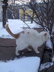 600 X 800  87.1 Kb 600 X 800  71.2 Kb 600 X 800  80.1 Kb   ! !